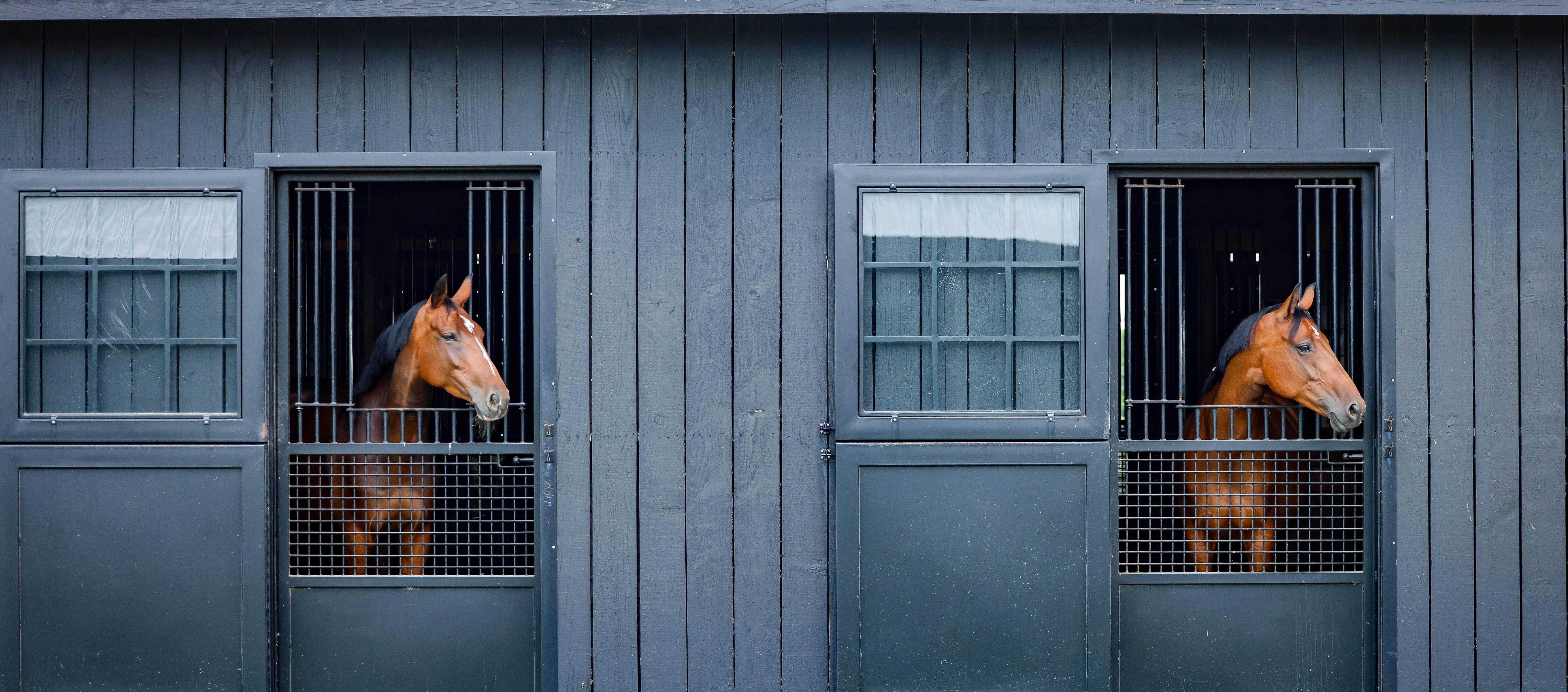 Youth equestrians at a horse show
