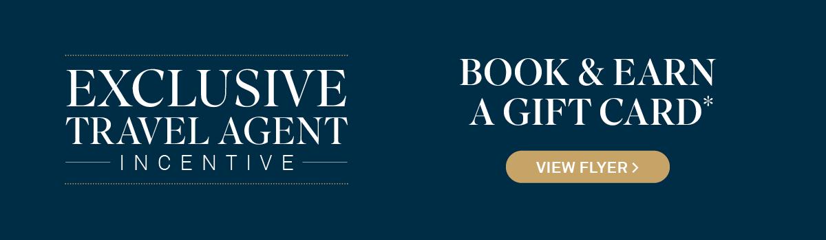 Travel Agent Incentive