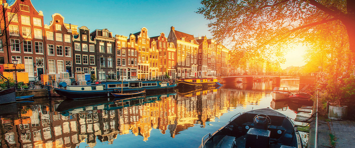 Windmills, Tulips and Belgian Delights