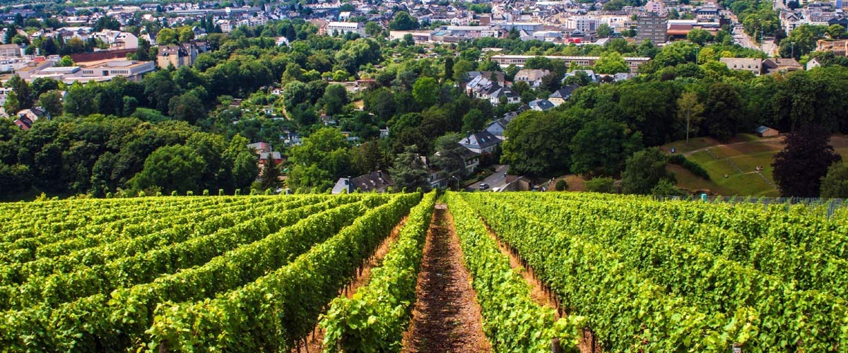 Legendary Rhine & Moselle