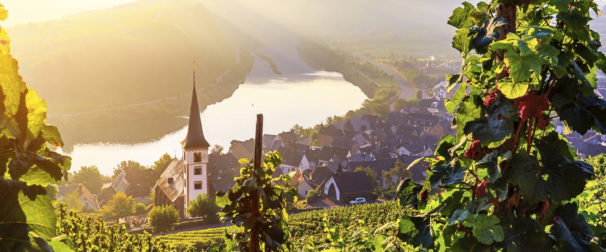 Rhine Castles & Moselle Vineyards