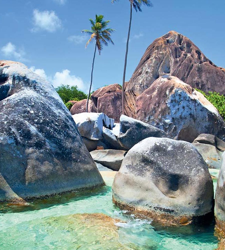 Vibes of the Virgin Islands