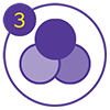 3. Colour