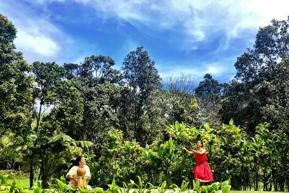 Pelehonuamea plays an ipu heke as her daughter Kalamanamana dances against a verdant background. 