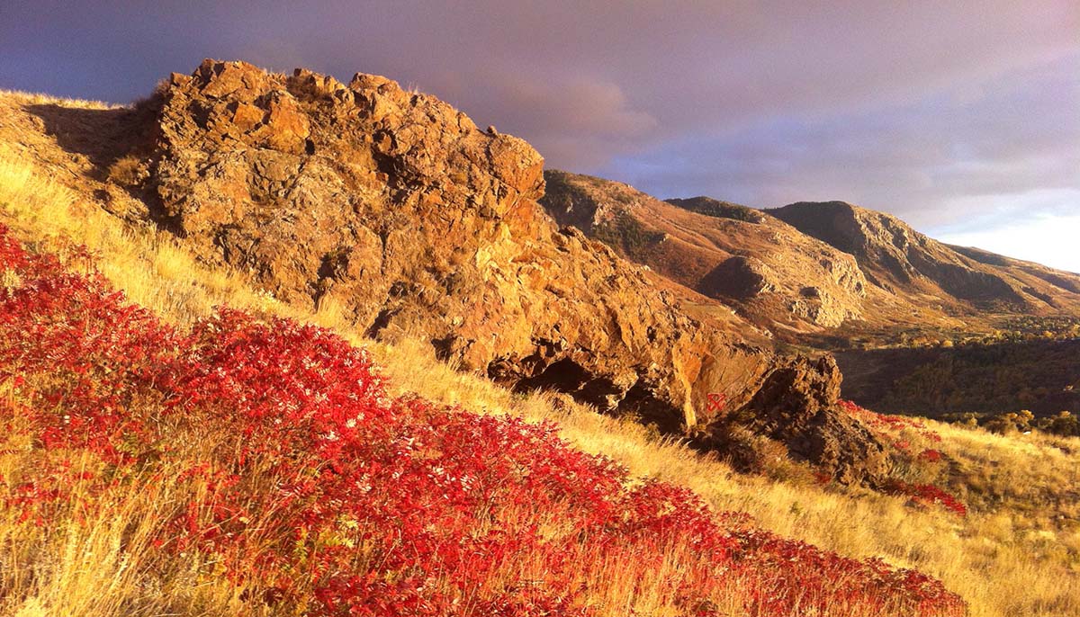 Keep public land public