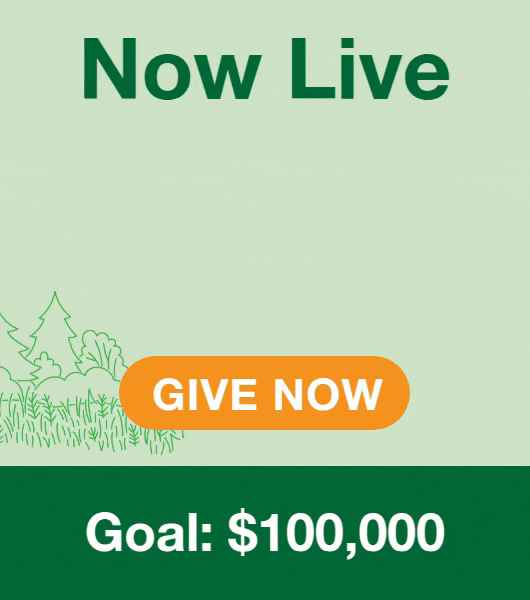 Now Live 2X Match: Goal $100,000