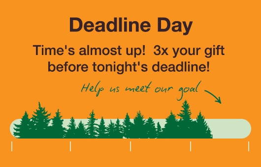 Deadline Day - Time's almost up!