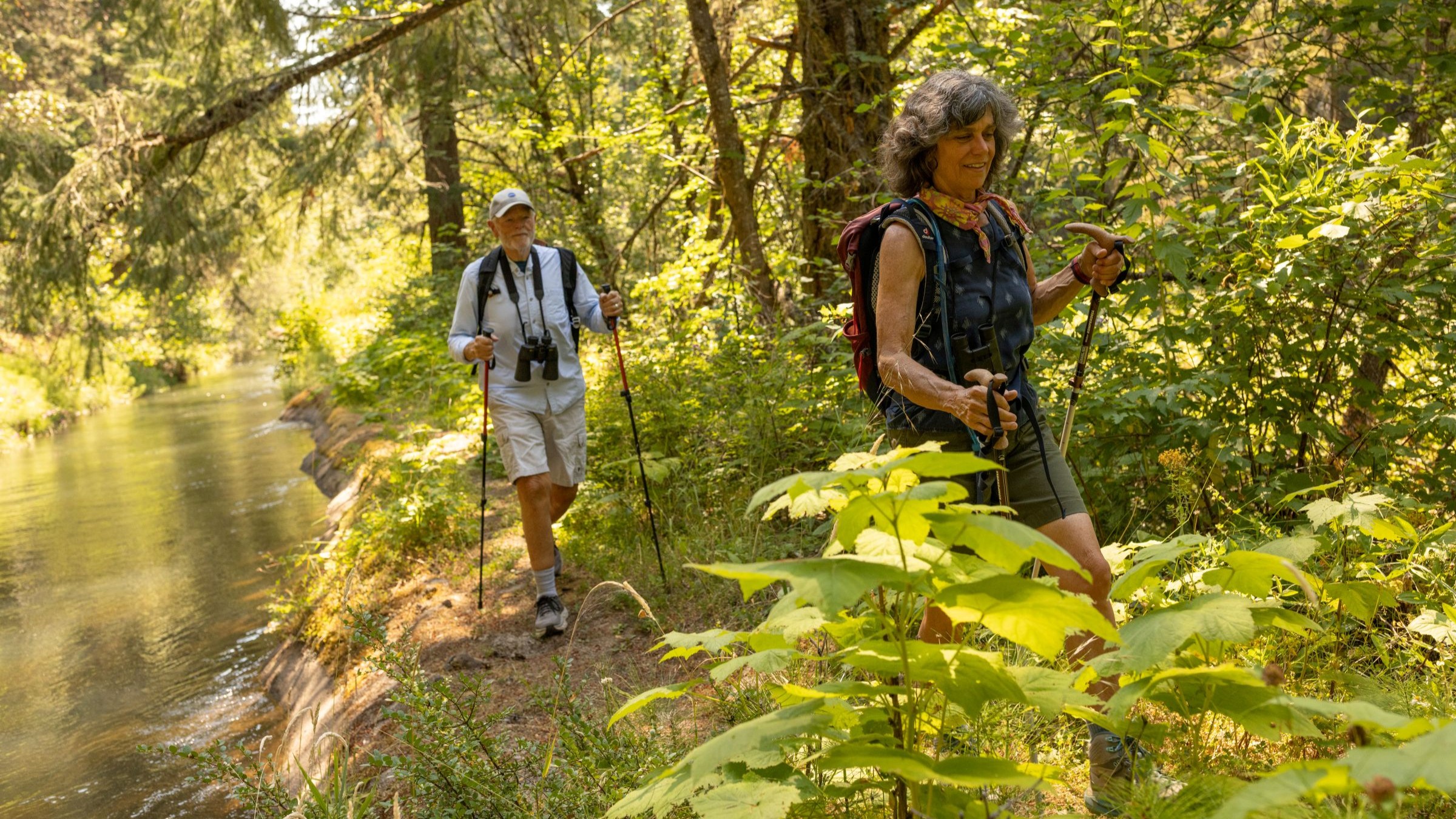 Couple hiking in forest.