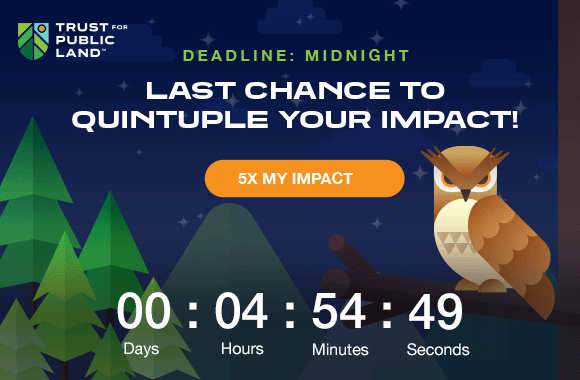 Deadline: midnight. Last chance to quintuple your impact.