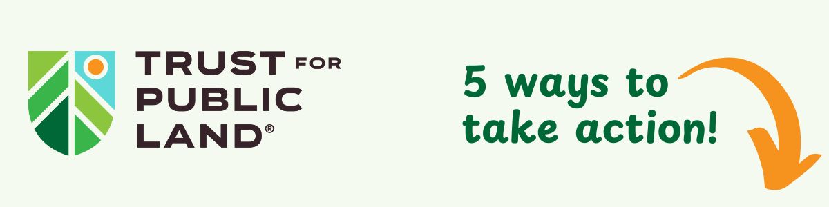 5 ways to take action