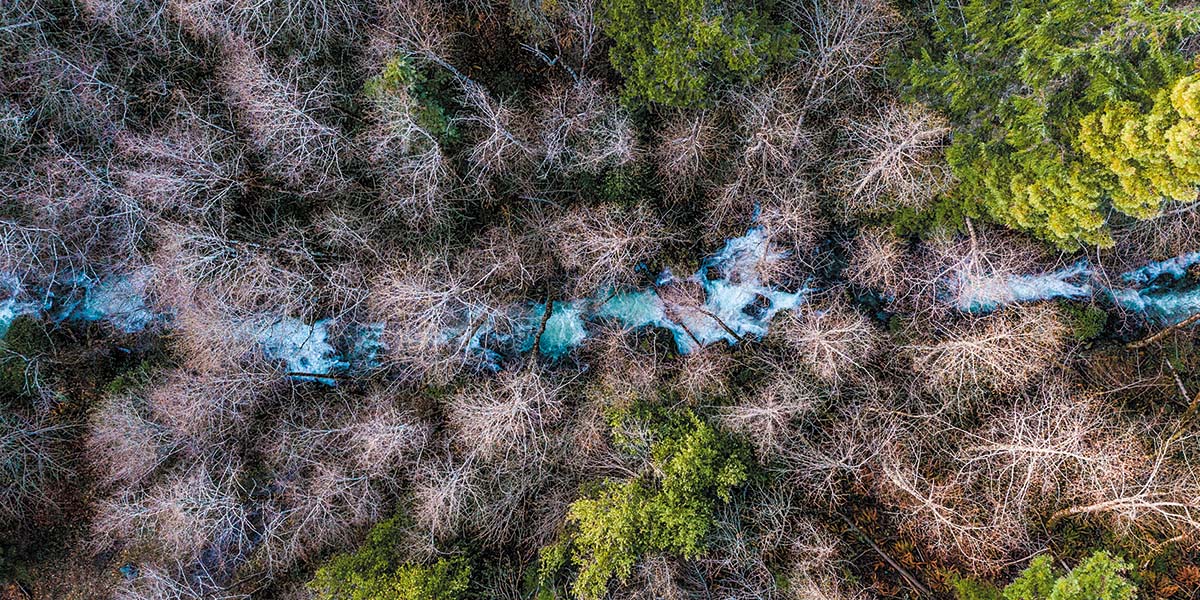 Yurok Tribe's ancestral territory in Northern California