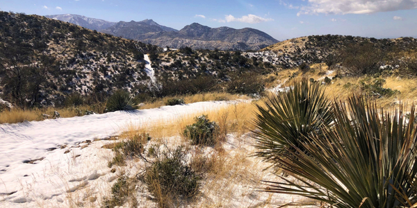 Coronado National Forest Expansion, Arizona.